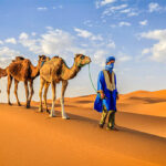 gettyimages-482802233-612x612-1.jpg