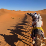 unnamed (34)